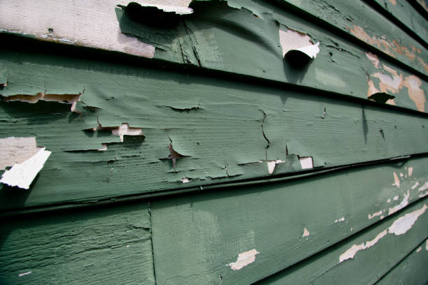 Affordable siding repair and maintenance services in Coker, AL