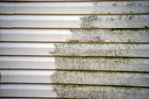 Historical Building Siding Restoration in Coker, AL