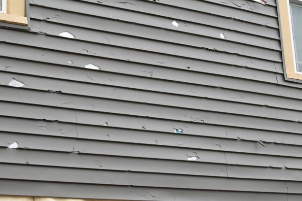  Coker, AL Siding Installation Pros